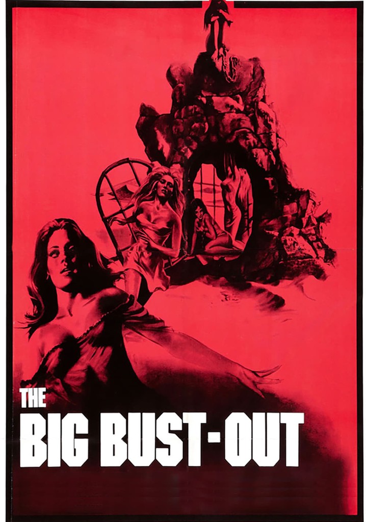 The Big Bust Out Streaming Where To Watch Online
